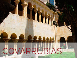 covarrubias-nuevoarlanza